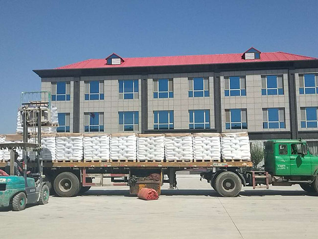 廠(chǎng)房廠(chǎng)貌 (20)